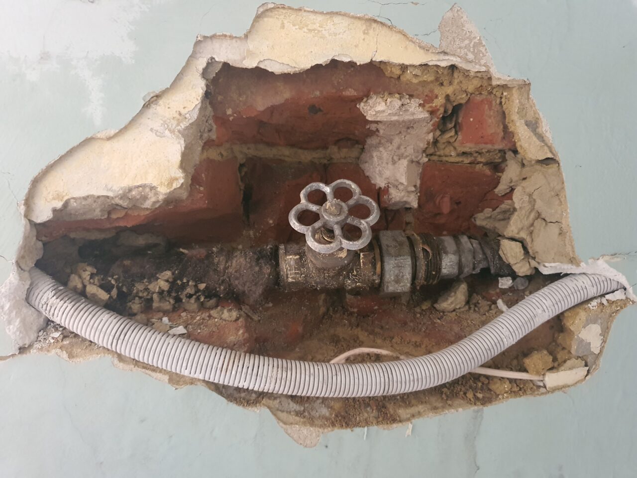 20200706_115022 20200706_115022