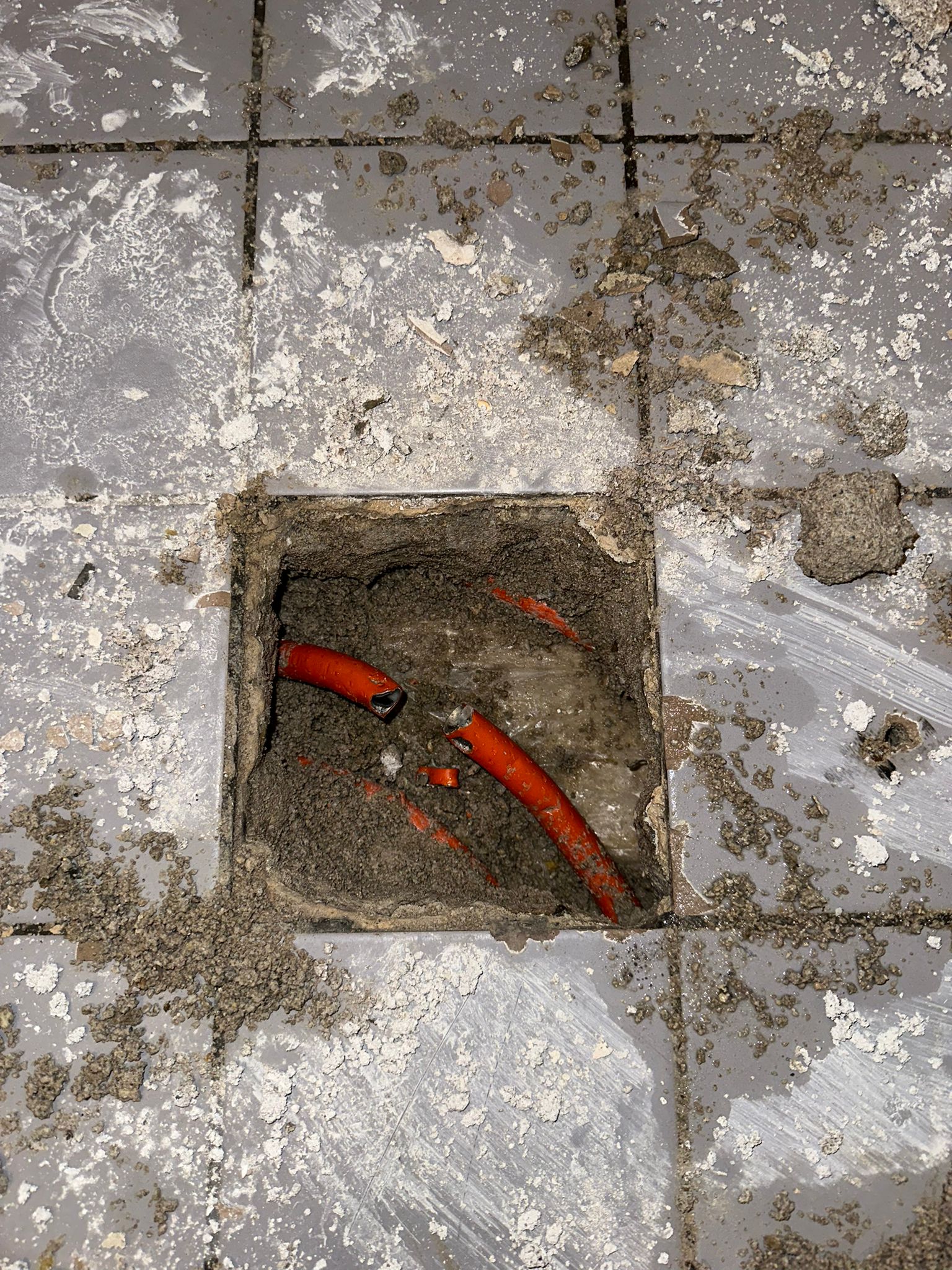 WhatsApp Bild 2023-03-13 um 23.14.31